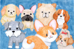 Marker-Dogs