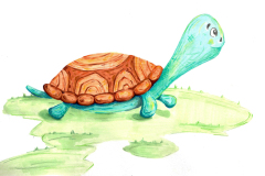 marker-rendering-Turtle