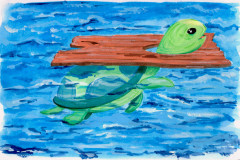 得人生难-turtle